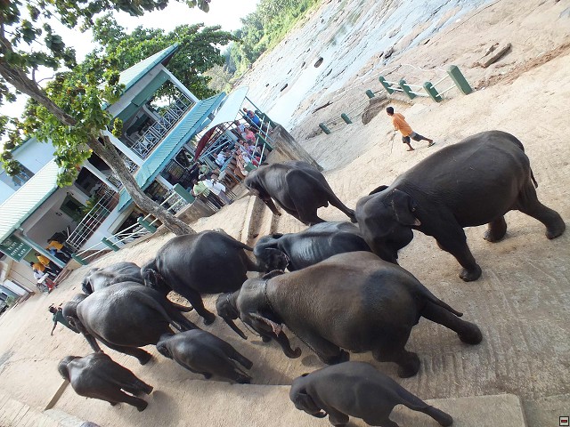 003_2012_srilanka.jpg